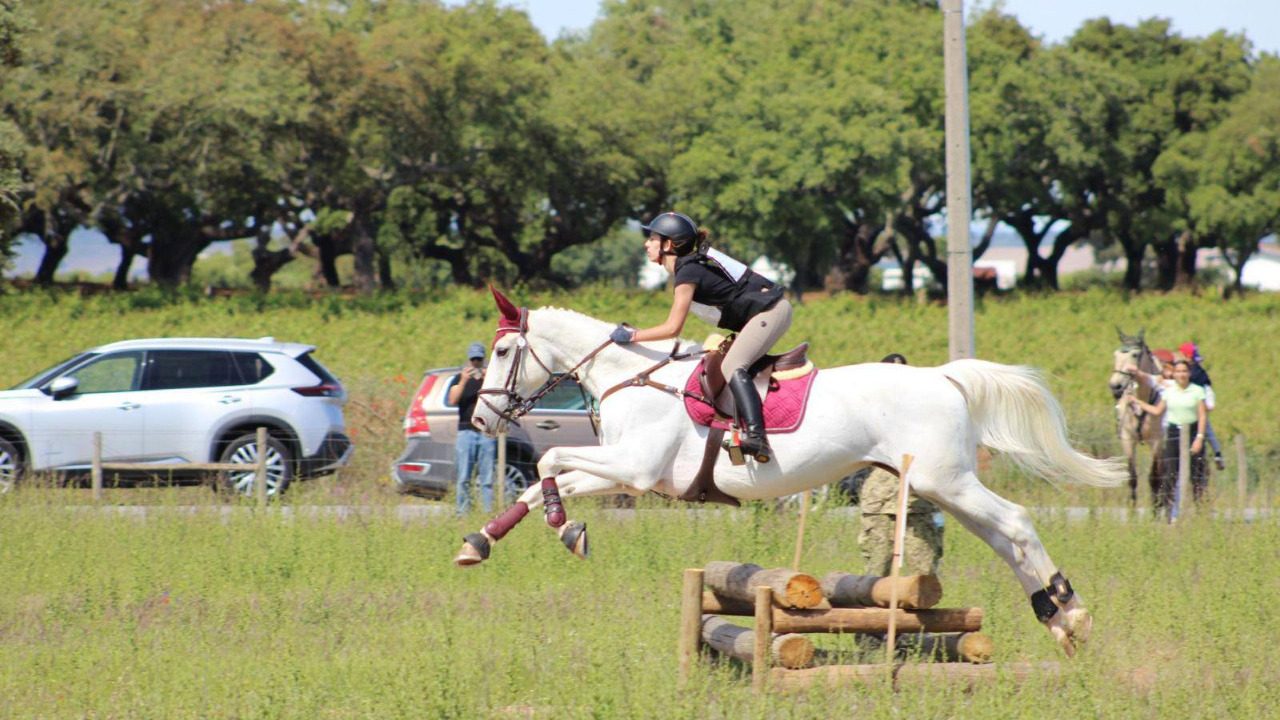 XLIII Concurso Nacional Combinado “Dragões de Olivença”